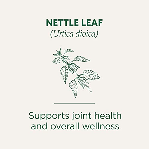 Wellness Tea Packaging